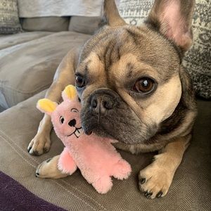 Meet your Posher, Leeanne